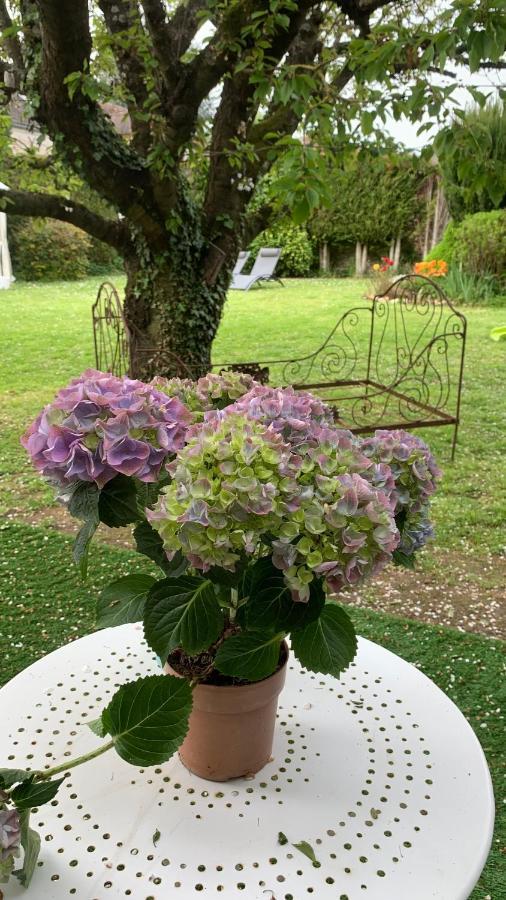 Paradis Fleuri Et Son Bain Nordique Chaussy  外观 照片